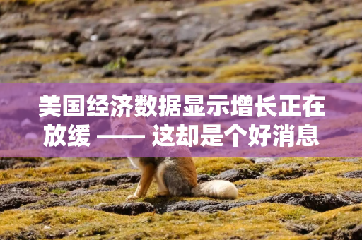 美国经济数据显示增长正在放缓 —— 这却是个好消息