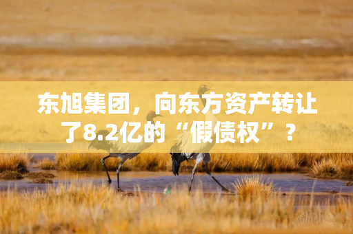 东旭集团，向东方资产转让了8.2亿的“假债权”？