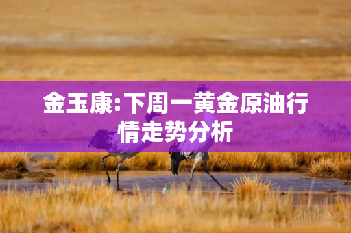 金玉康:下周一黄金原油行情走势分析