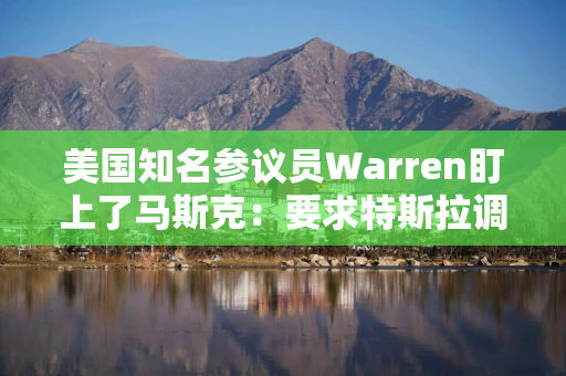 美国知名参议员Warren盯上了马斯克：要求特斯拉调查其是否滥用公司资源
