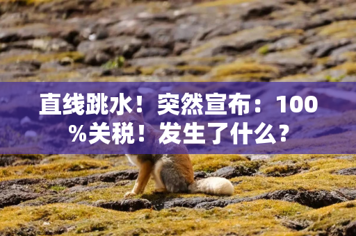 直线跳水！突然宣布：100%关税！发生了什么？