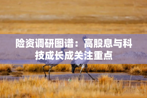 险资调研图谱：高股息与科技成长成关注重点