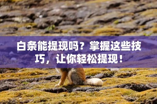 白条能提现吗？掌握这些技巧，让你轻松提现！