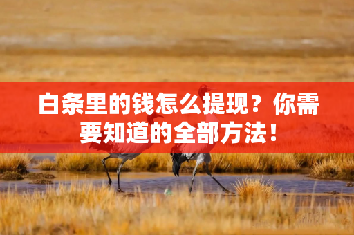 白条里的钱怎么提现？你需要知道的全部方法！