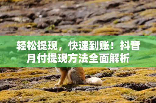 轻松提现，快速到账！抖音月付提现方法全面解析
