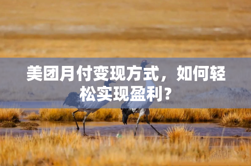 美团月付变现方式，如何轻松实现盈利？