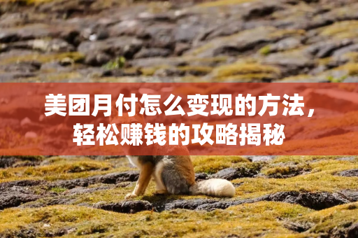 美团月付怎么变现的方法，轻松赚钱的攻略揭秘