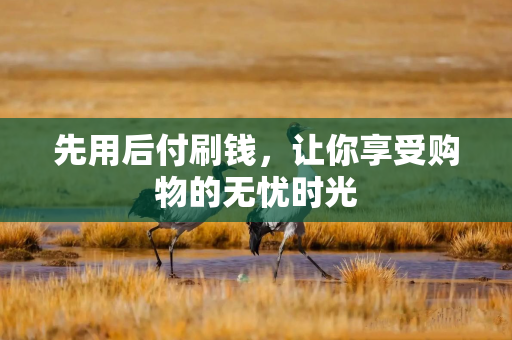 先用后付刷钱，让你享受购物的无忧时光