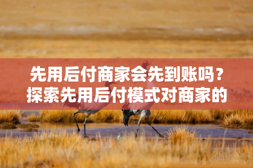 先用后付商家会先到账吗？探索先用后付模式对商家的影响