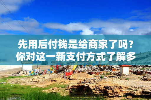 先用后付钱是给商家了吗？你对这一新支付方式了解多少？