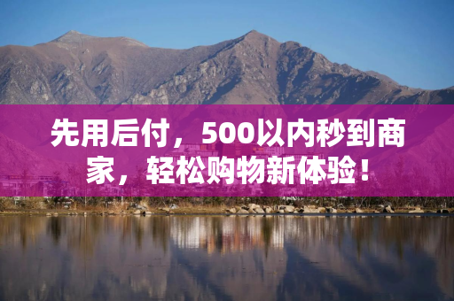 先用后付，500以内秒到商家，轻松购物新体验！