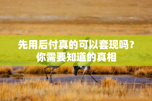 先用后付真的可以套现吗？你需要知道的真相