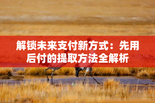 解锁未来支付新方式：先用后付的提取方法全解析