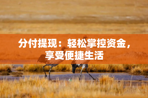 分付提现：轻松掌控资金，享受便捷生活