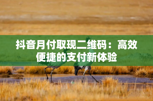 抖音月付取现二维码：高效便捷的支付新体验