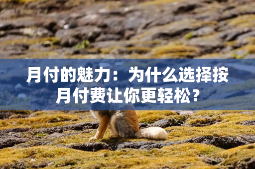 月付的魅力：为什么选择按月付费让你更轻松？