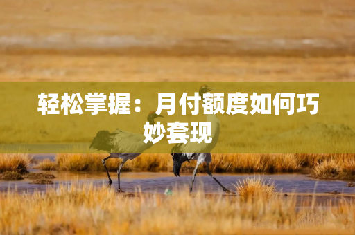 轻松掌握：月付额度如何巧妙套现