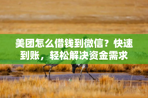 美团怎么借钱到微信？快速到账，轻松解决资金需求