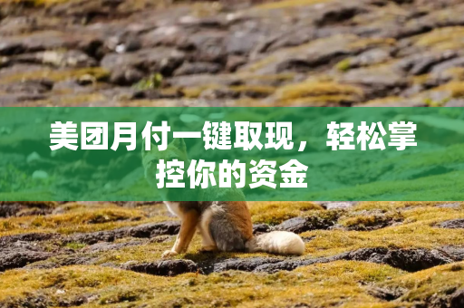 美团月付一键取现，轻松掌控你的资金