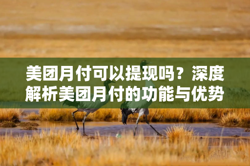 美团月付可以提现吗？深度解析美团月付的功能与优势