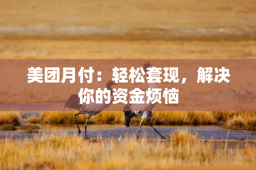 美团月付：轻松套现，解决你的资金烦恼