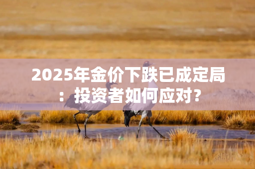 2025年金价下跌已成定局：投资者如何应对？