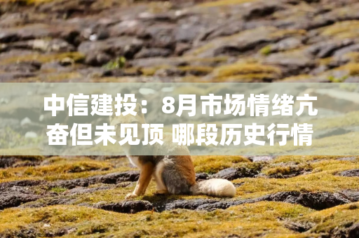 中信建投：8月市场情绪亢奋但未见顶 哪段历史行情可供参考？