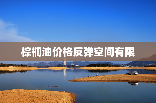 棕榈油价格反弹空间有限