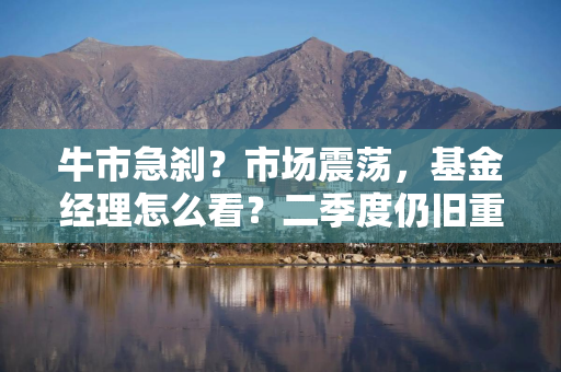 牛市急刹？市场震荡，基金经理怎么看？二季度仍旧重仓宁德时代，港股比例显著提升