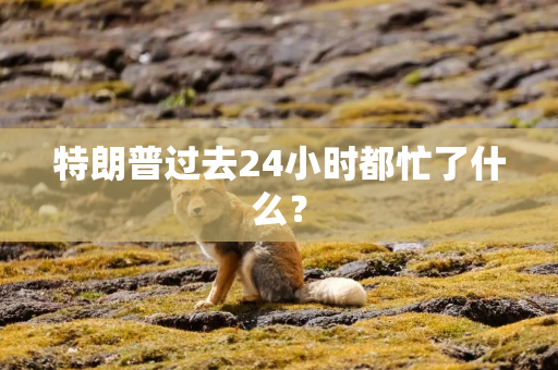 特朗普过去24小时都忙了什么？