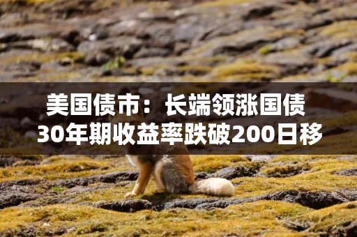 美国债市：长端领涨国债 30年期收益率跌破200日移动均线