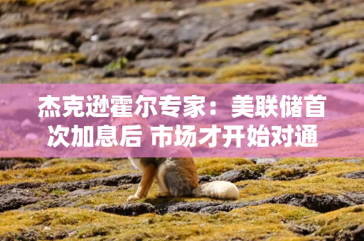 杰克逊霍尔专家：美联储首次加息后 市场才开始对通胀数据有更强烈反应