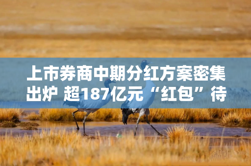 上市券商中期分红方案密集出炉 超187亿元“红包”待派发