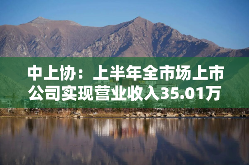 中上协：上半年全市场上市公司实现营业收入35.01万亿元，分红回购规模再创新高