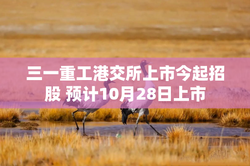 三一重工港交所上市今起招股 预计10月28日上市