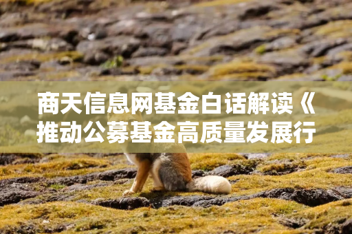 商天信息网基金白话解读《推动公募基金高质量发展行动方案》系列之二：新“国九条”与《行动方案》的紧密联系