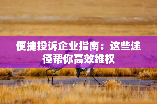 便捷投诉企业指南：这些途径帮你高效维权