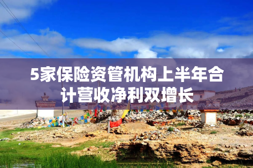 5家保险资管机构上半年合计营收净利双增长
