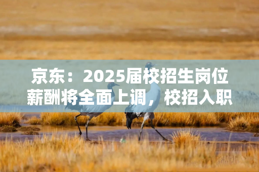 京东：2025届校招生岗位薪酬将全面上调，校招入职京东采销将可达到全年20个月薪酬结构