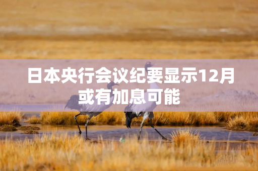日本央行会议纪要显示12月或有加息可能
