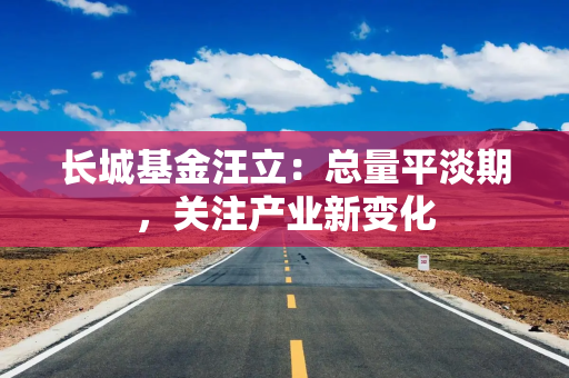 长城基金汪立:总量平淡期,关注产业新变化