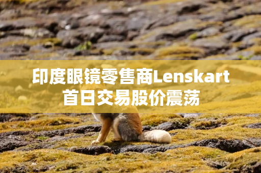 印度眼镜零售商Lenskart首日交易股价震荡