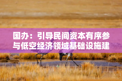 国办:引导民间资本有序参与低空经济领域基础设施建设