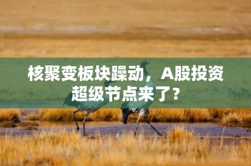 核聚变板块躁动,A股投资超级节点来了?