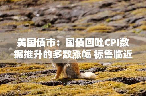 美国债市:国债回吐CPI数据推升的多数涨幅 标售临近