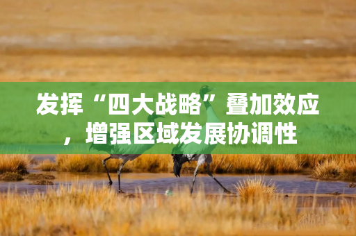 发挥“四大战略”叠加效应,增强区域发展协调性