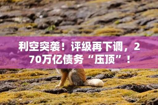 利空突袭!评级再下调,270万亿债务“压顶”!