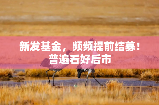 新发基金,频频提前结募!普遍看好后市