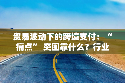贸易波动下的跨境支付:“痛点” 突围靠什么?行业人士谈技术解法