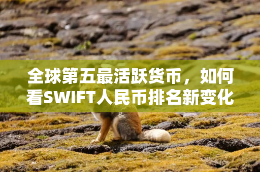 全球第五最活跃货币,如何看SWIFT人民币排名新变化?
